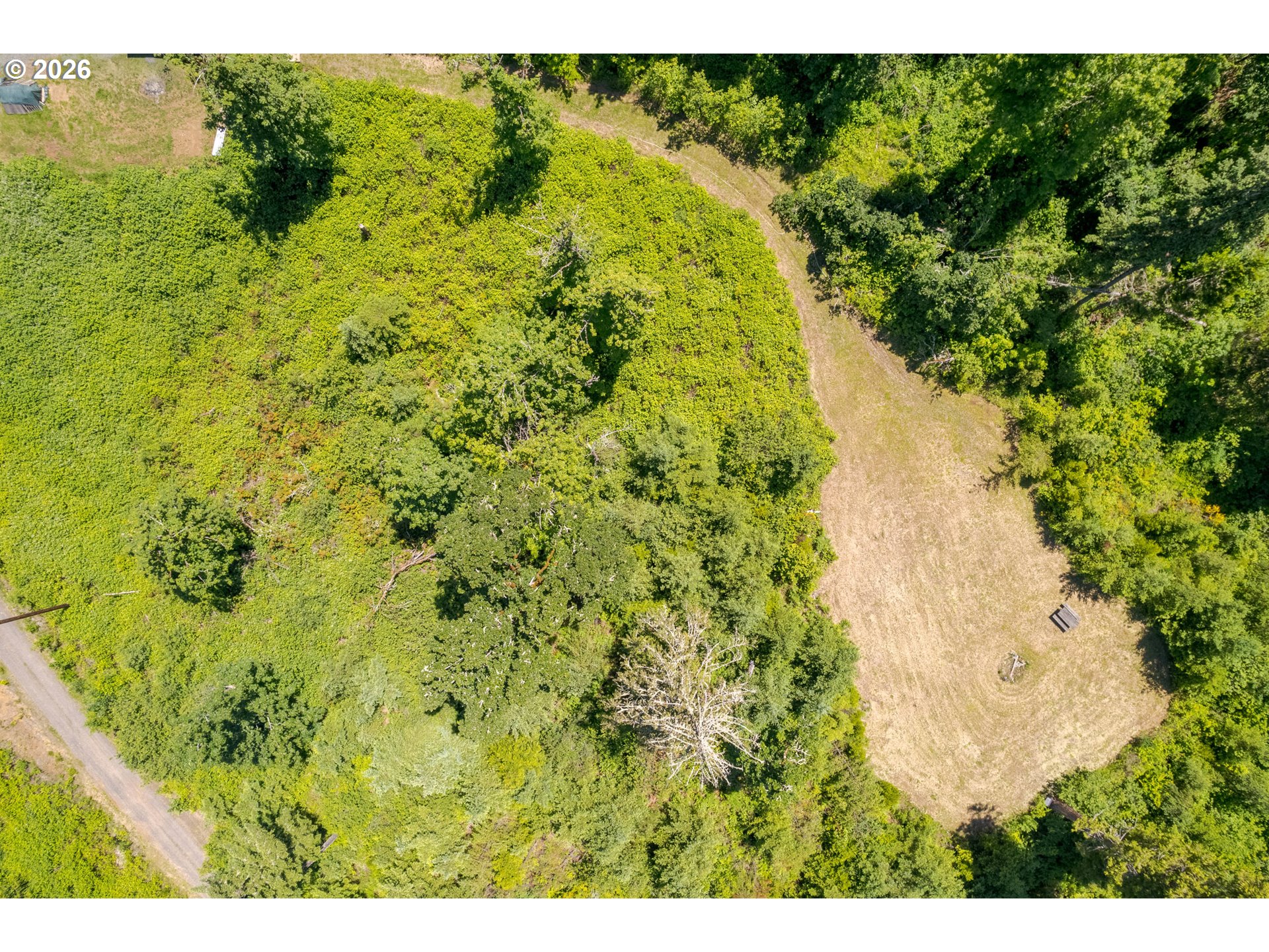 8563 McKenzie Highway Springfield, OR 97478 - Photo 12 of 35