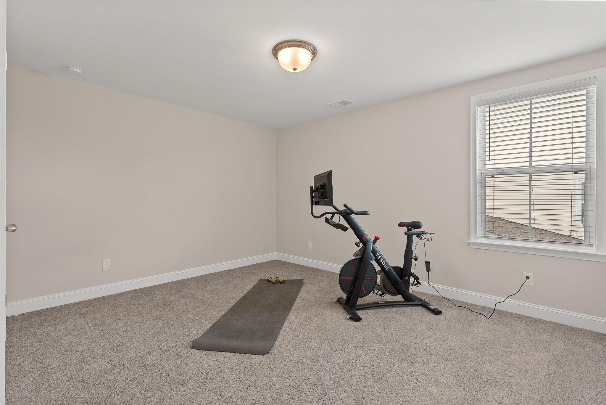 674 Black Pine Road Moncks Corner, SC 29461 - Photo 55 of 66 2nd bdrm-view 1