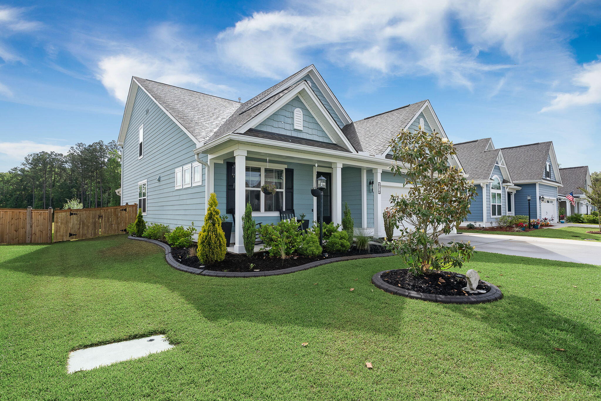 674 Black Pine Road Moncks Corner, SC 29461 - Photo 10 of 66 Front landscape