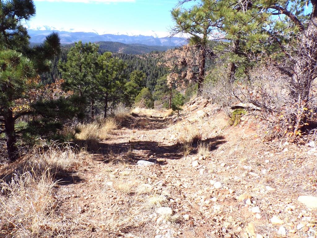 12231 Council Road Weston, CO 81091 - Photo 53 of 59 Gallery Image 53