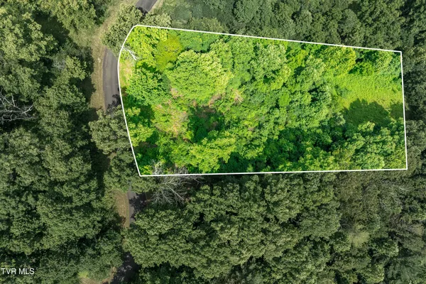 $65,000 | Lot 11 Lake Ridge Road, Unit 11, Butler, TN 37640