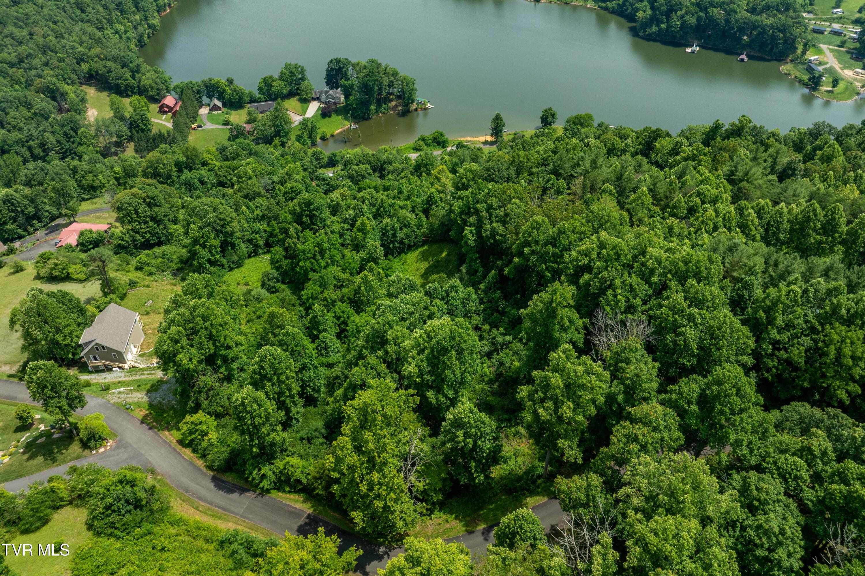 Lot 11 Lake Ridge Road, Unit 11 Butler, TN 37640 - Photo 12 of 19 Lot 11 (12 of 19)