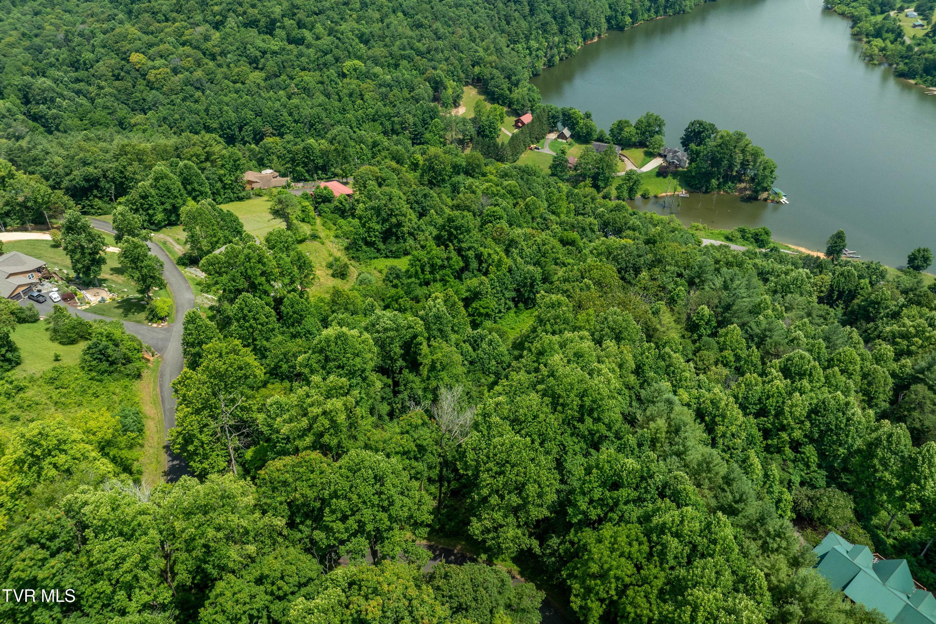 Lot 11 Lake Ridge Road, Unit 11 Butler, TN 37640 - Photo 14 of 19 Lot 11 (14 of 19)