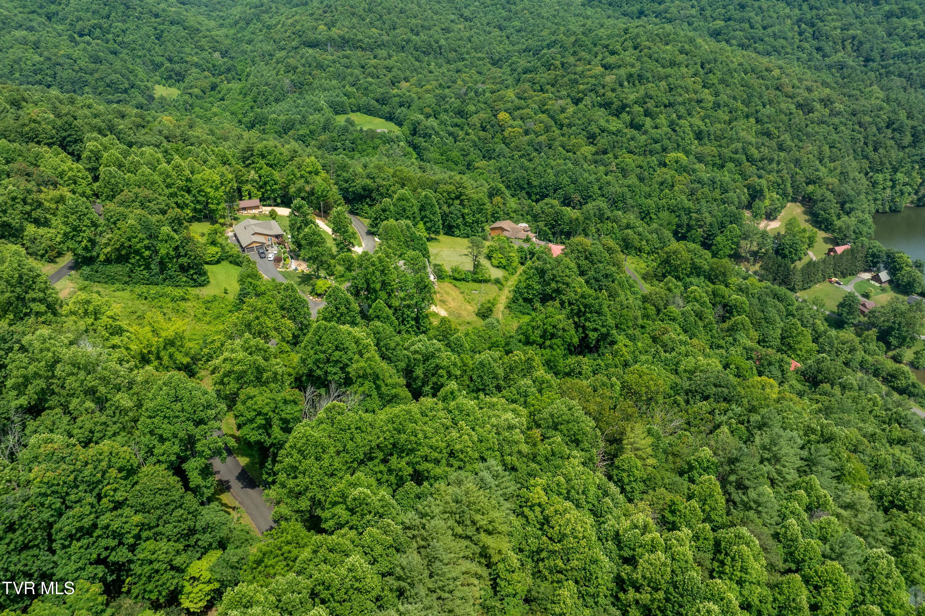 Lot 11 Lake Ridge Road, Unit 11 Butler, TN 37640 - Photo 16 of 19 Lot 11 (16 of 19)