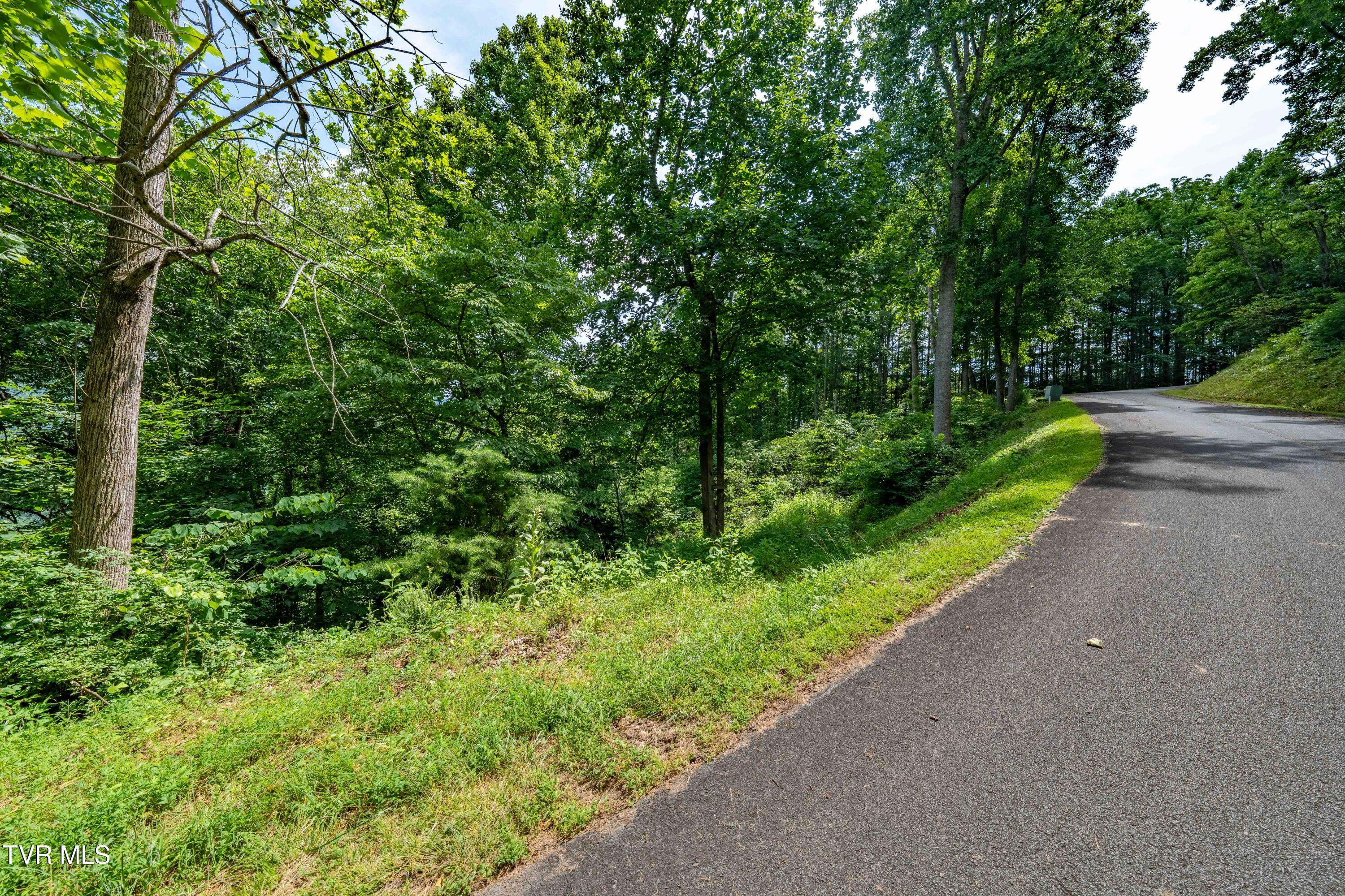 Lot 11 Lake Ridge Road, Unit 11 Butler, TN 37640 - Photo 17 of 19 Lot 11 (17 of 19)