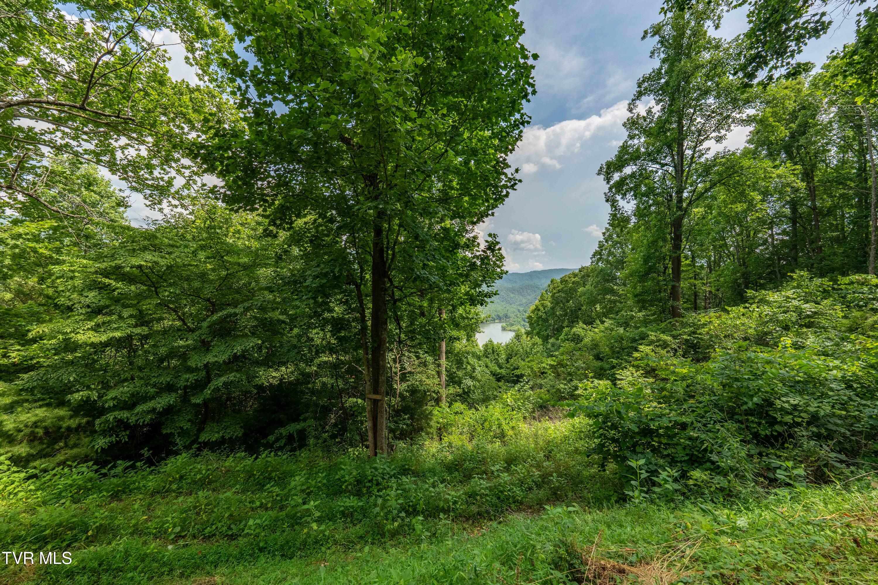 Lot 11 Lake Ridge Road, Unit 11 Butler, TN 37640 - Photo 18 of 19 Lot 11 (18 of 19)