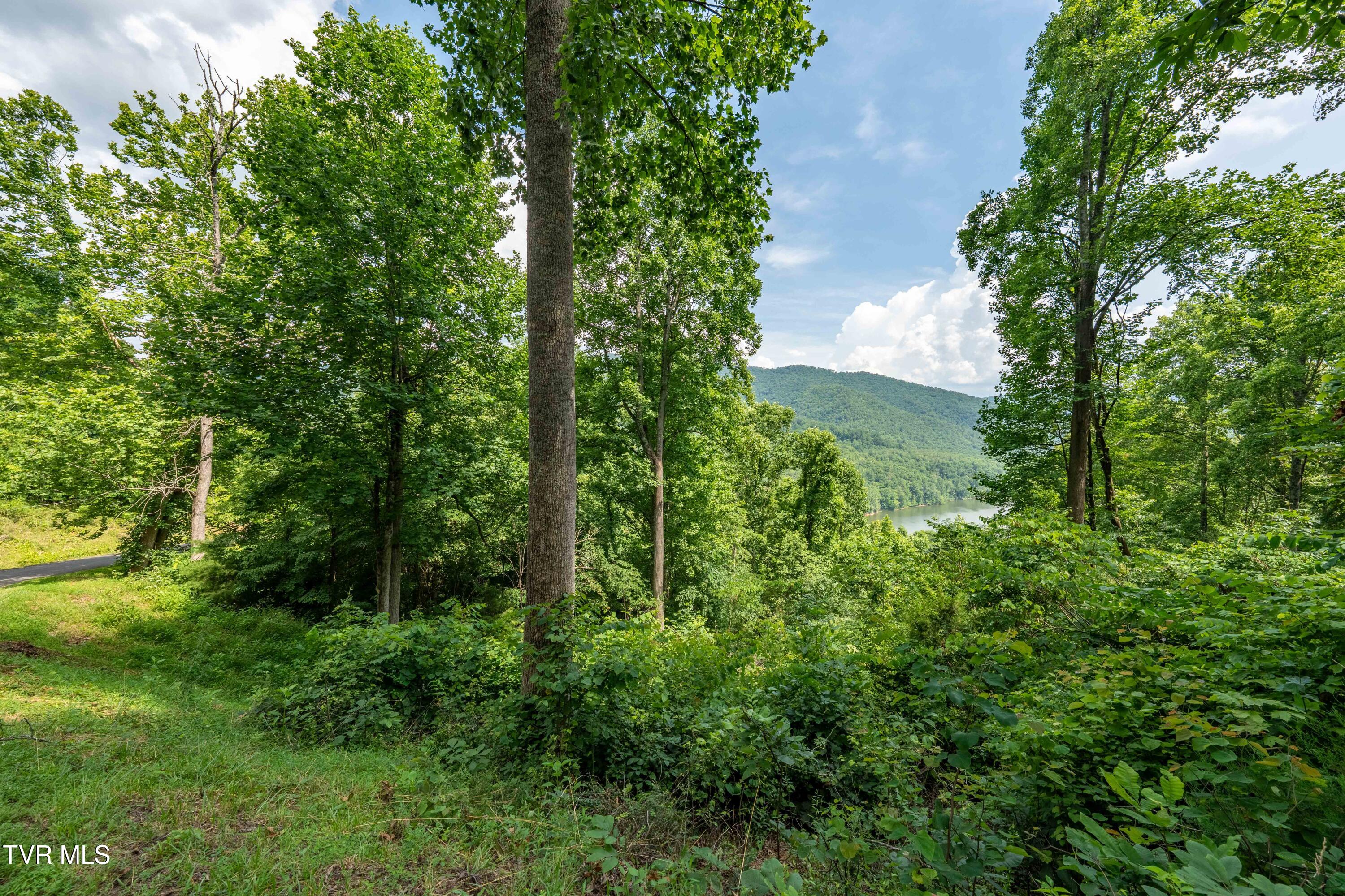 Lot 11 Lake Ridge Road, Unit 11 Butler, TN 37640 - Photo 19 of 19 Lot 11 (19 of 19)