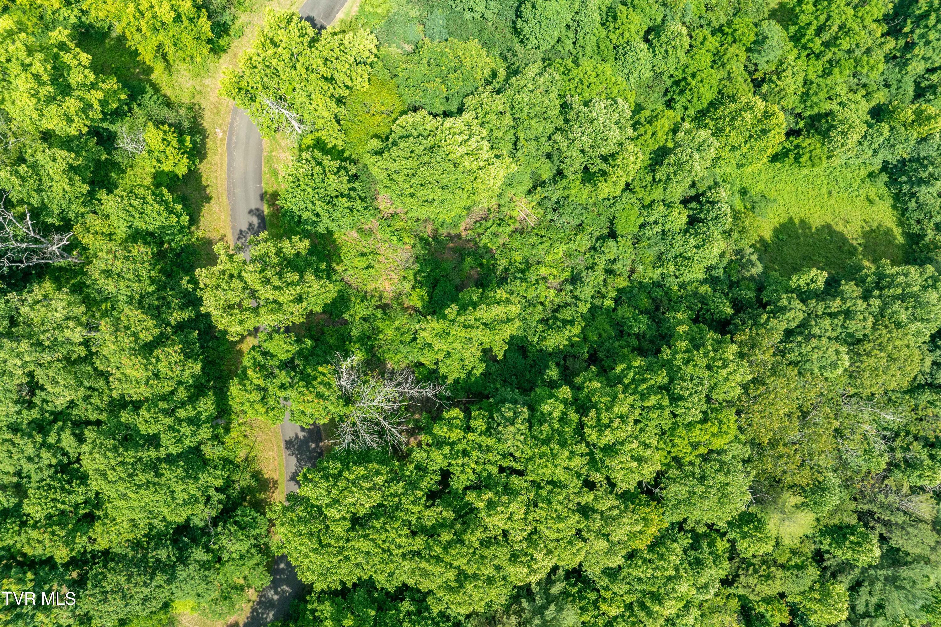 Lot 11 Lake Ridge Road, Unit 11 Butler, TN 37640 - Photo 2 of 19 Lot 11 (2 of 19)