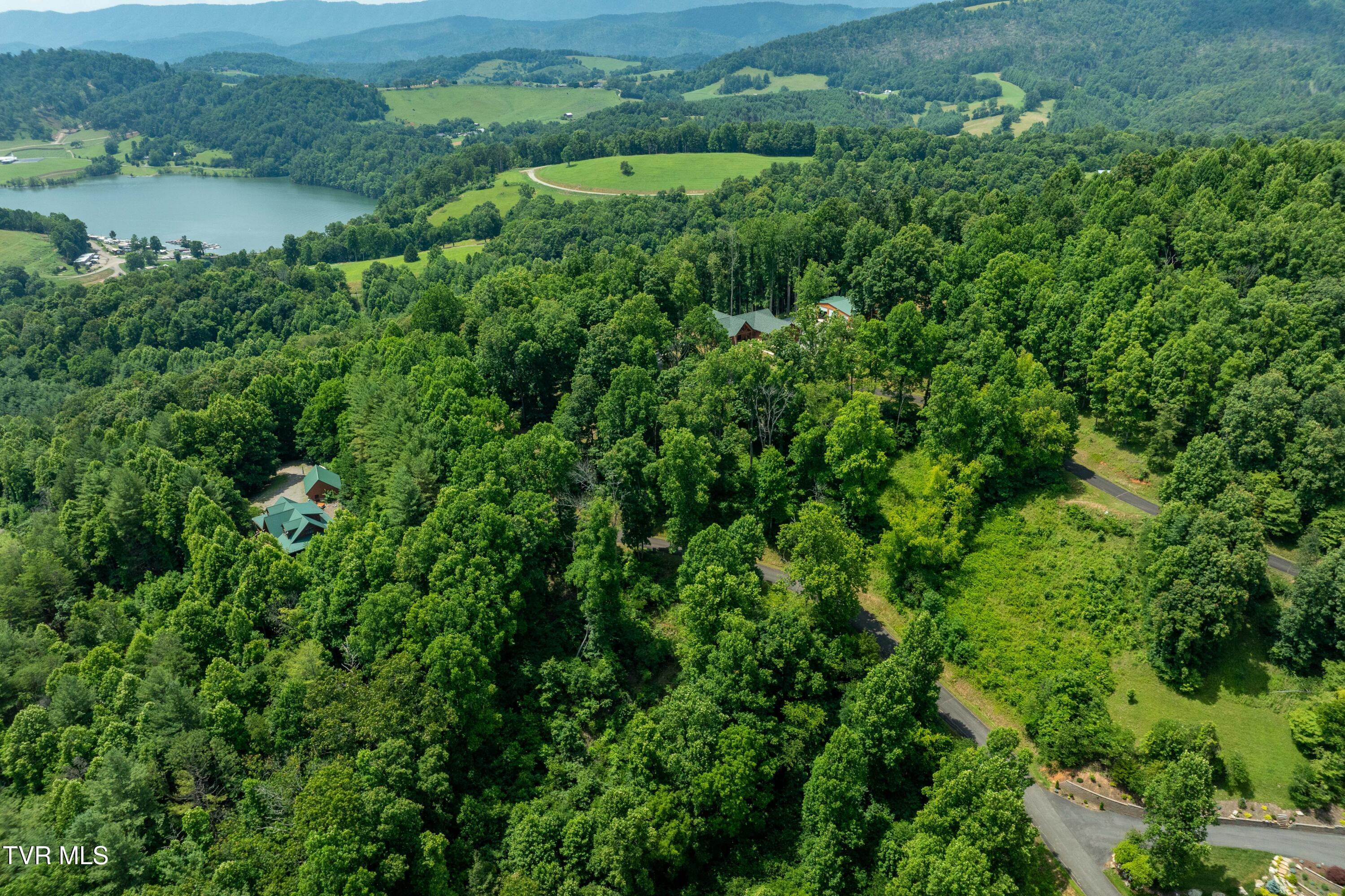 Lot 11 Lake Ridge Road, Unit 11 Butler, TN 37640 - Photo 6 of 19 Lot 11 (6 of 19)