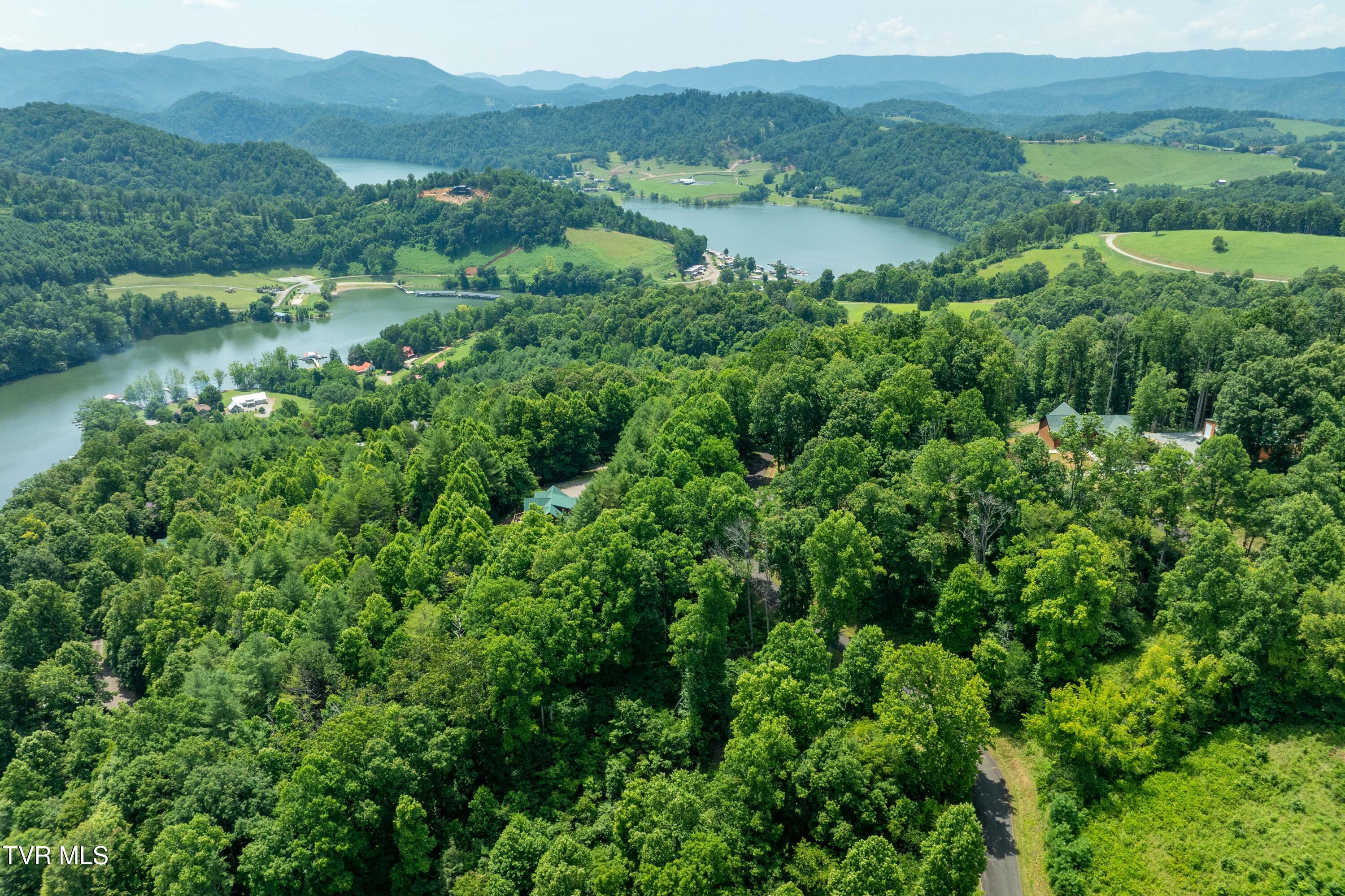 Lot 11 Lake Ridge Road, Unit 11 Butler, TN 37640 - Photo 8 of 19 Lot 11 (8 of 19)