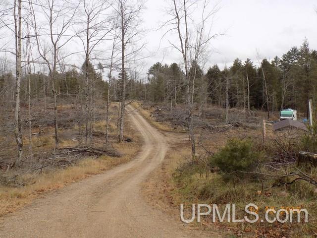 N4105 Powell Lake Road Wetmore, MI 49895 - Photo 6 of 18