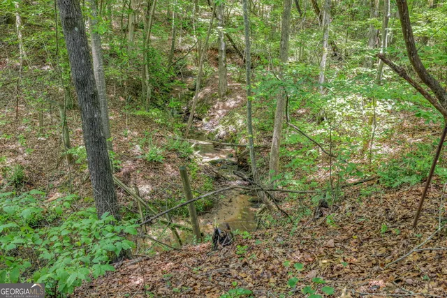 $394,900 | 177 East Silver Shoals Road, Toccoa, GA 30577