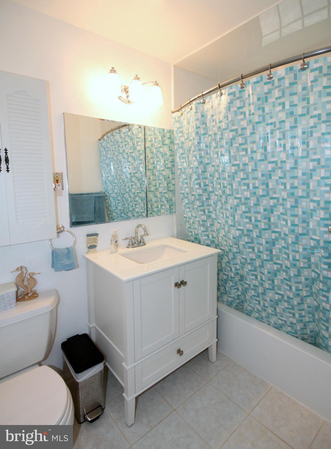 6220 Apache Street Springfield, VA 22150 - Photo 14 of 21 Bath