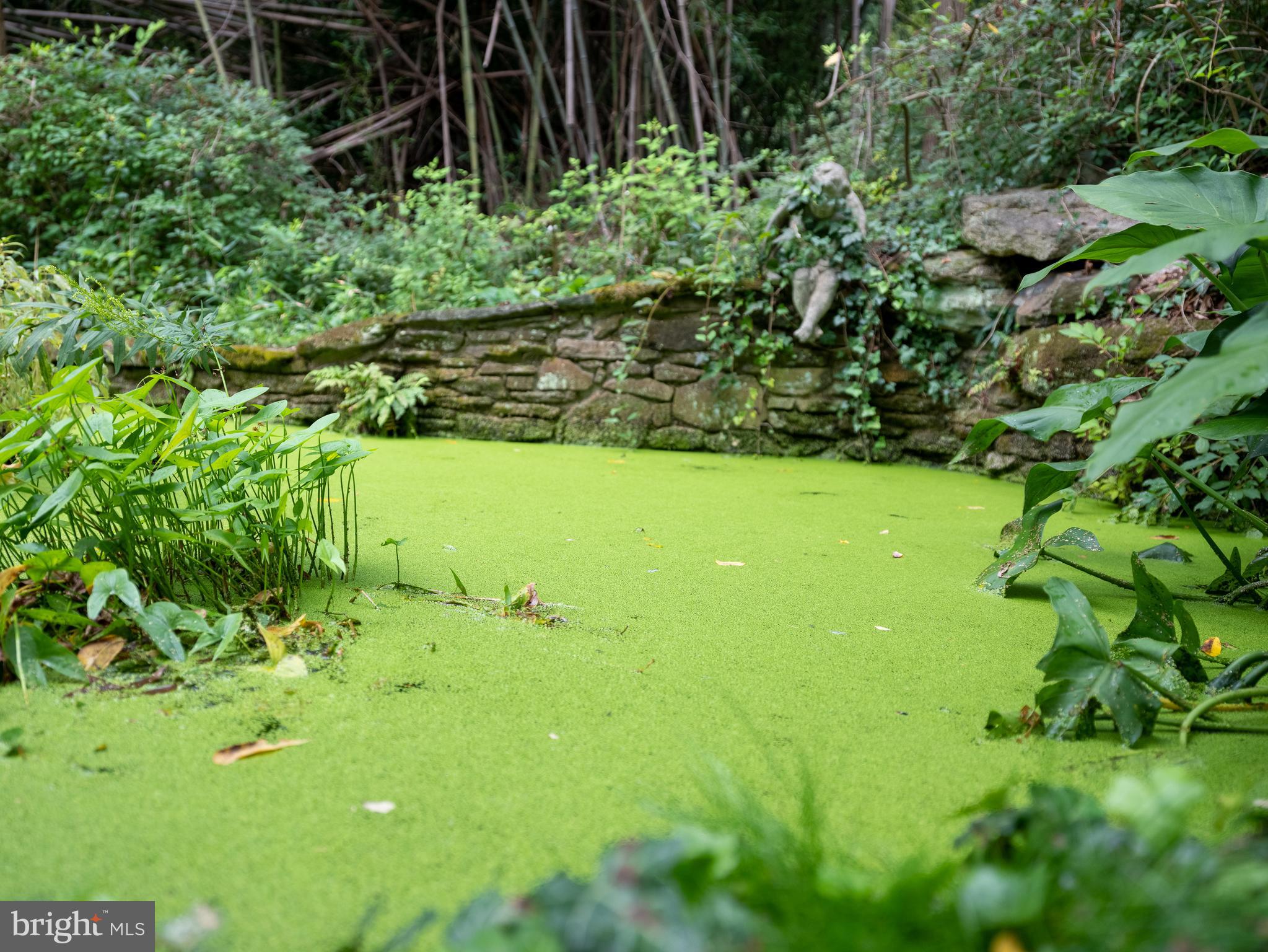 2890 Furlong Road Doylestown, PA 18902 - Photo 30 of 42 One of two ponds