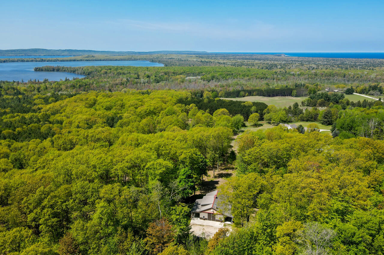 9865 Martin Road Honor, MI 49640 - Photo 8 of 63 56-Aerial-View-4
