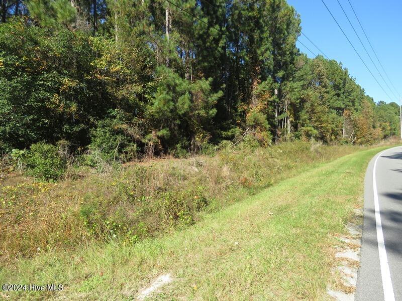 Tbd Turnpike Road Raeford, NC 28376 - Photo 11 of 13 IMG_7953