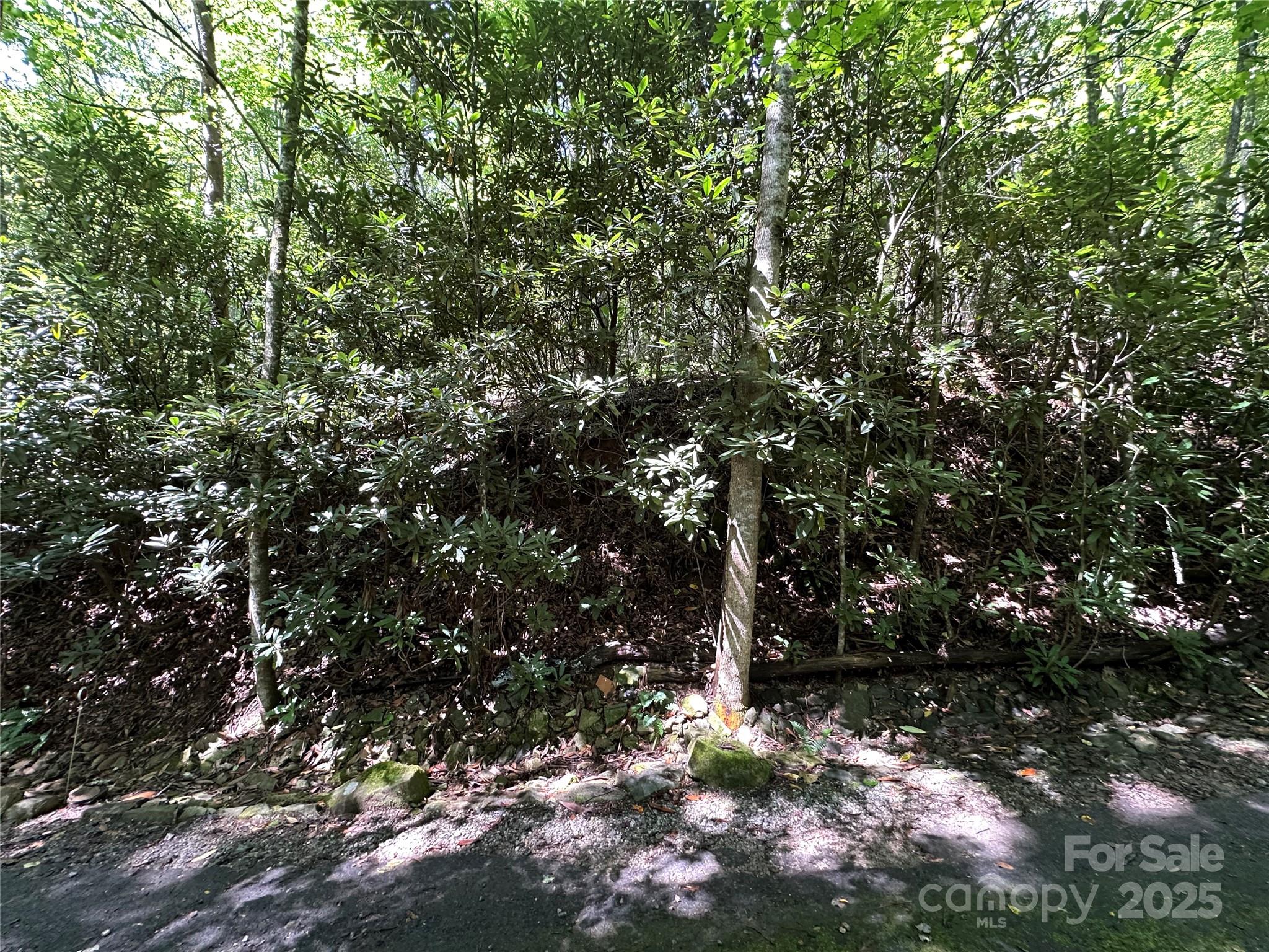 0 Lyle Downs Road Franklin, NC 28734 - Photo 3 of 11 a view of a tree