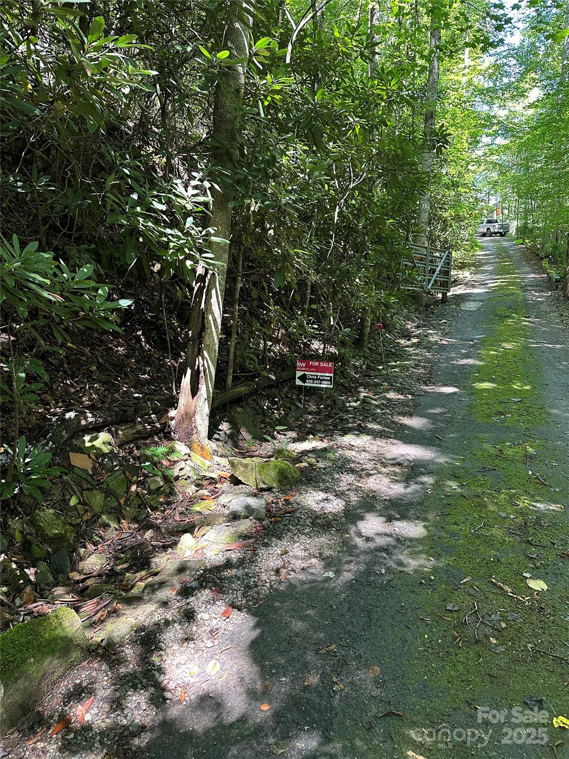 0 Lyle Downs Road Franklin, NC 28734 - Photo 4 of 11 a view of a tree in a yard