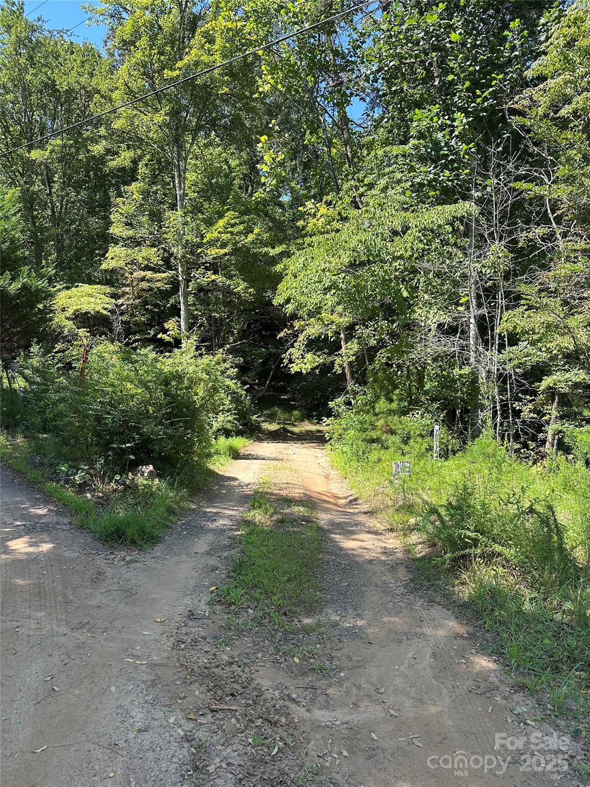 0 Lyle Downs Road Franklin, NC 28734 - Photo 5 of 11 a view of outdoor space and trees