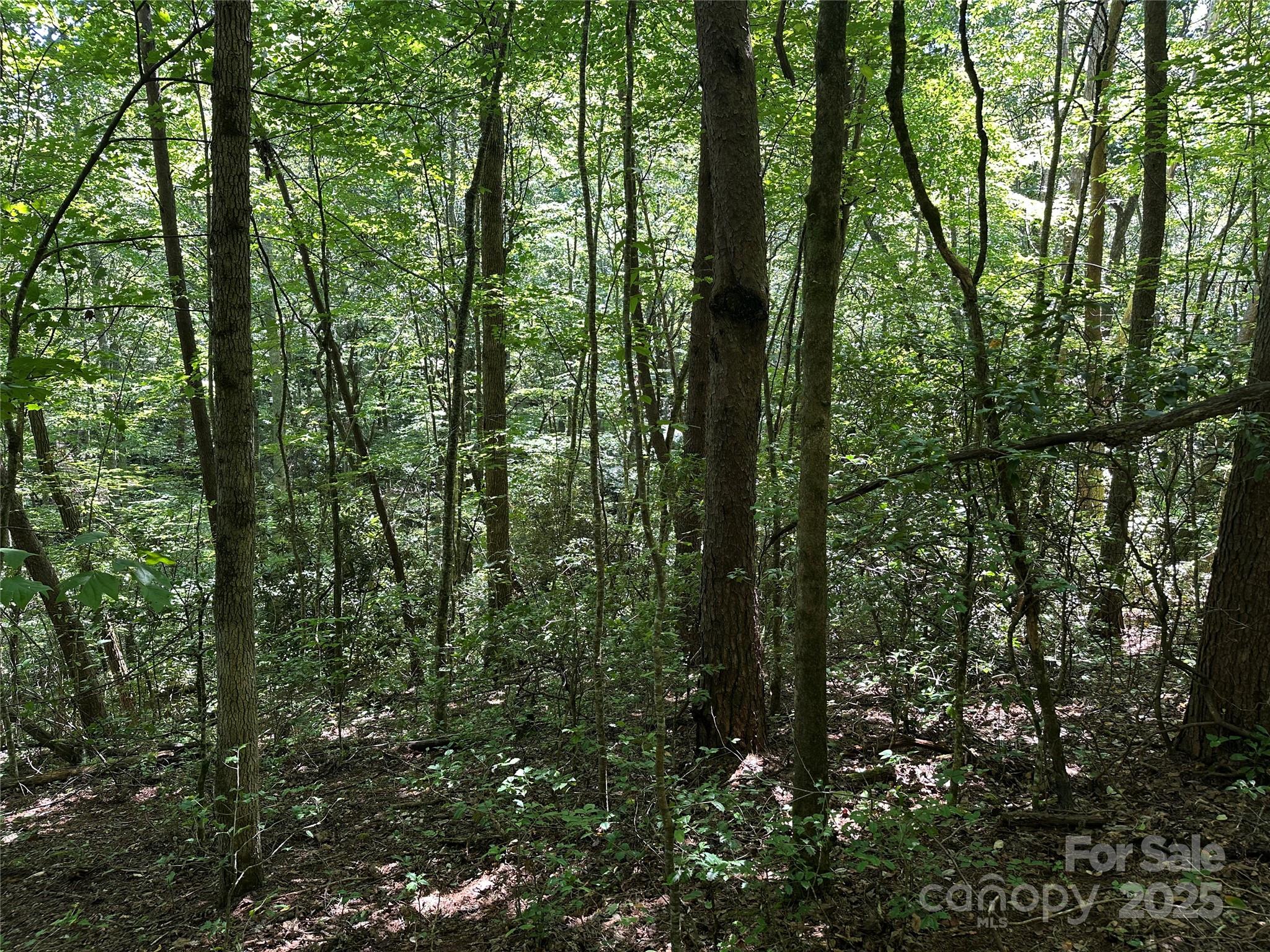 0 Lyle Downs Road Franklin, NC 28734 - Photo 8 of 11 a view of outdoor space and green space