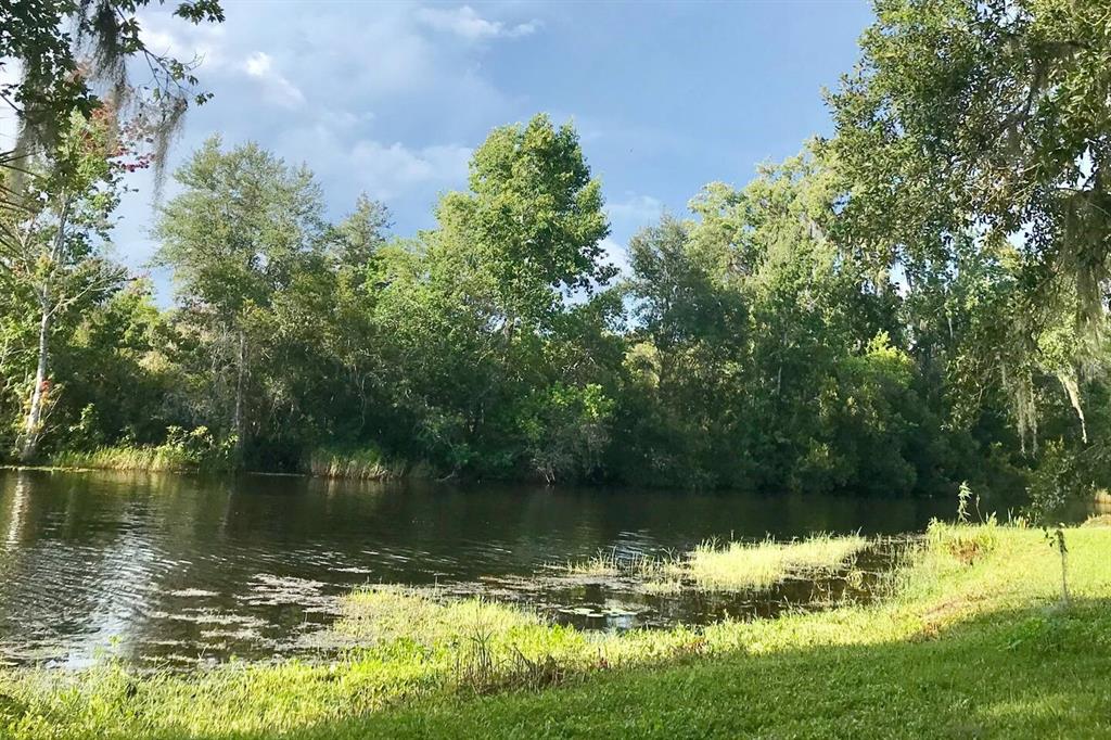 1423 North Lagoon Point Inverness, FL 34453 - Photo 69 of 76 Gallery Image 69