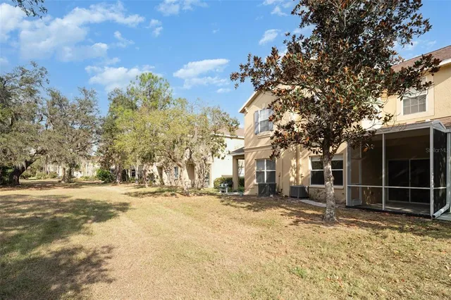 a view of a large trees with a yard