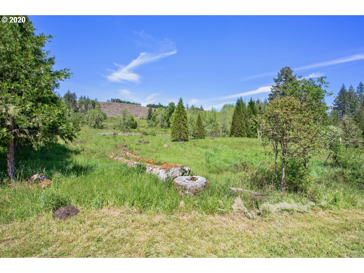 28282 Thomson Mill Road Sheridan, OR 97378 - Photo 6 of 27