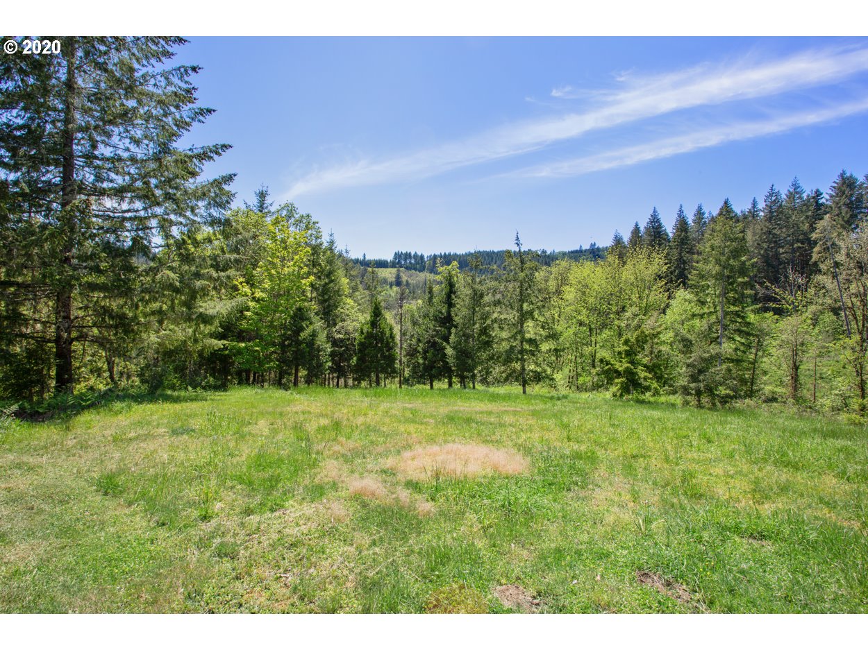 28282 Thomson Mill Road Sheridan, OR 97378 - Photo 7 of 27