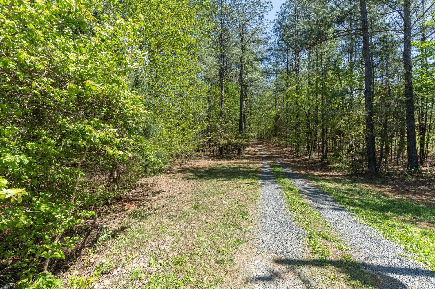 2570 Reedy Spring Road Spout Spring, VA 24593 - Photo 46 of 66 a view of a yard with trees