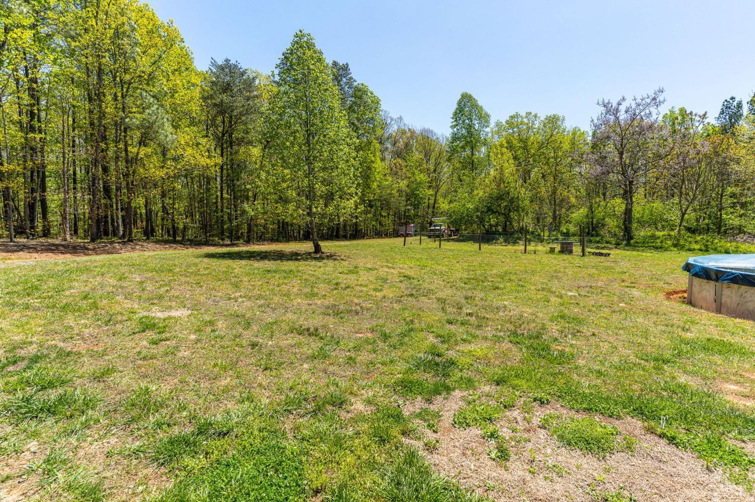 2570 Reedy Spring Road Spout Spring, VA 24593 - Photo 48 of 66 a view of a green field with trees in the background