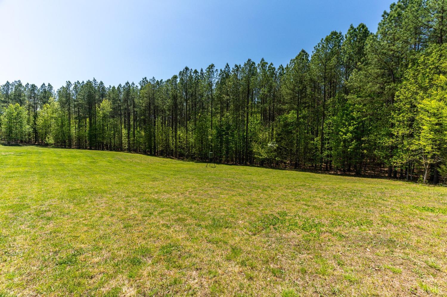 2570 Reedy Spring Road Spout Spring, VA 24593 - Photo 49 of 66 a view of a field with trees in the background