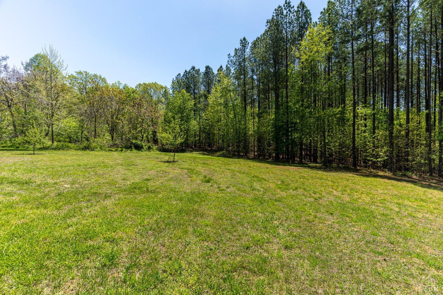 2570 Reedy Spring Road Spout Spring, VA 24593 - Photo 53 of 66