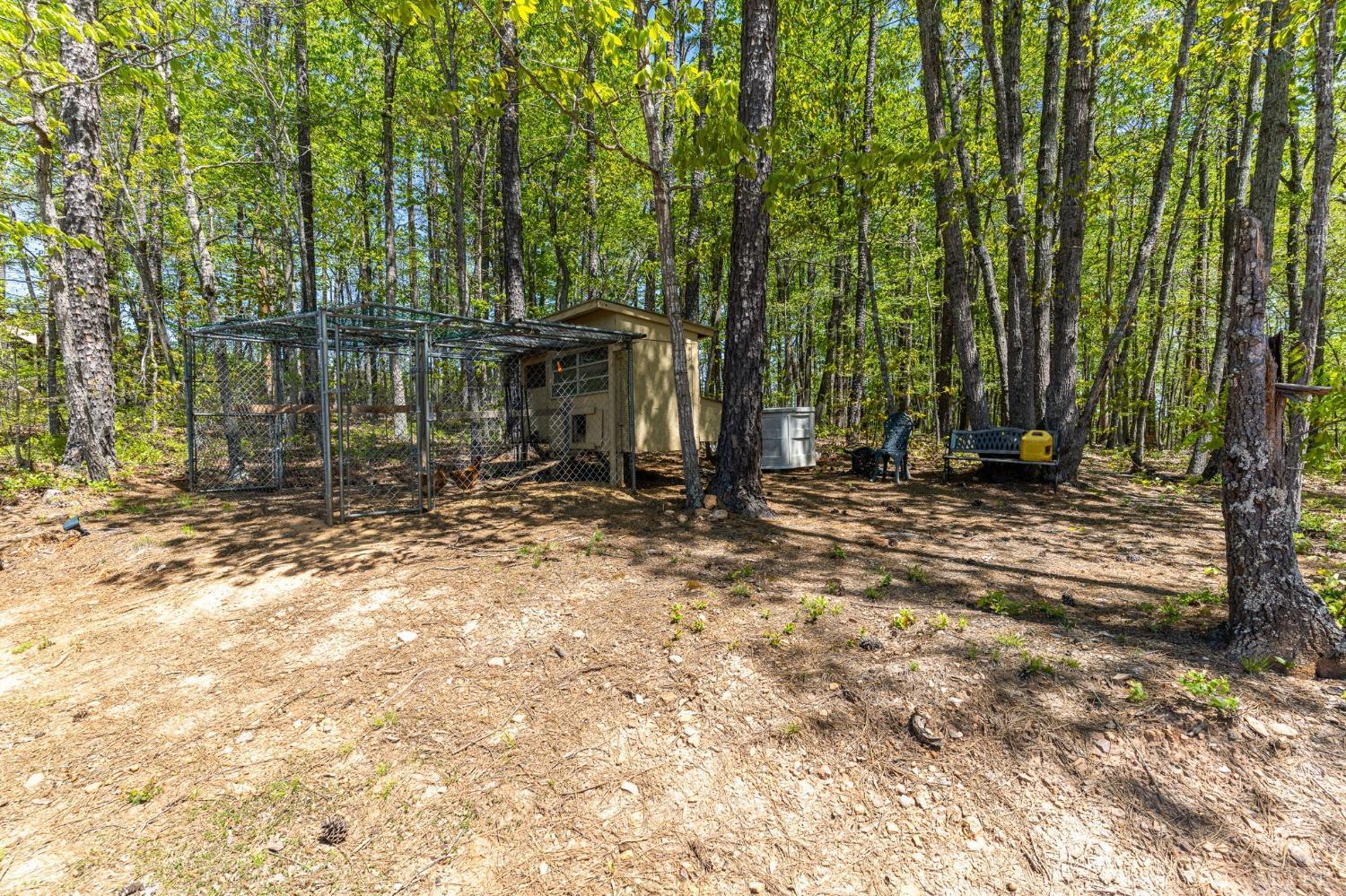 2570 Reedy Spring Road Spout Spring, VA 24593 - Photo 63 of 66