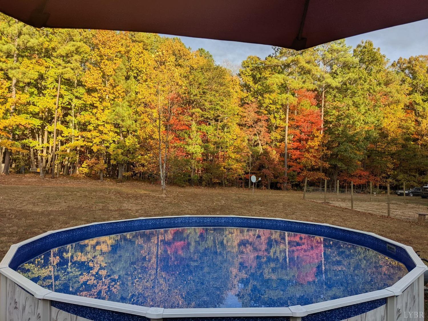 2570 Reedy Spring Road Spout Spring, VA 24593 - Photo 65 of 66 a view of swimming pool with a yard