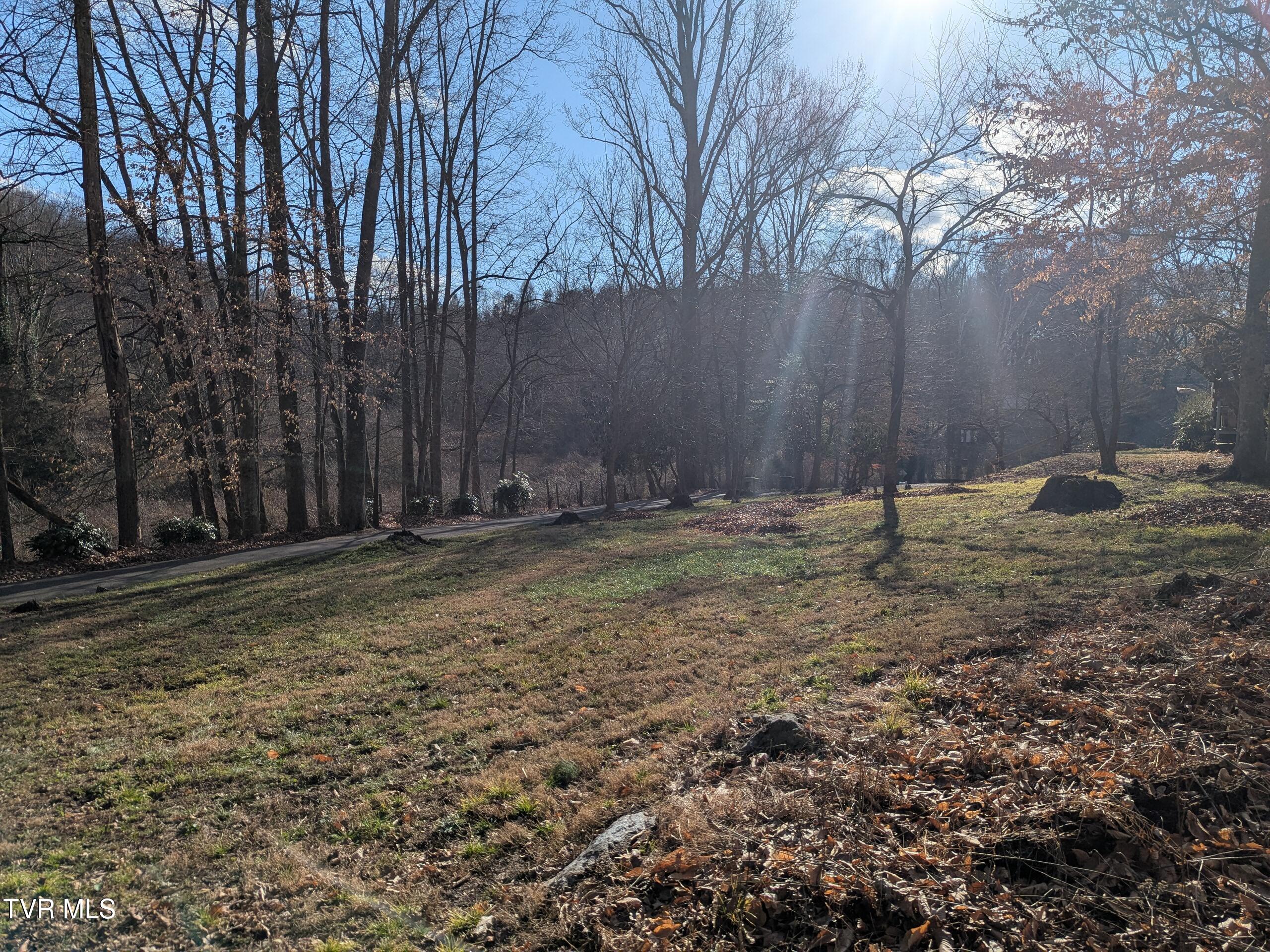 Tbd Beechwood Road, Unit 13 Bristol, TN 37620 - Photo 1 of 7 1000014487