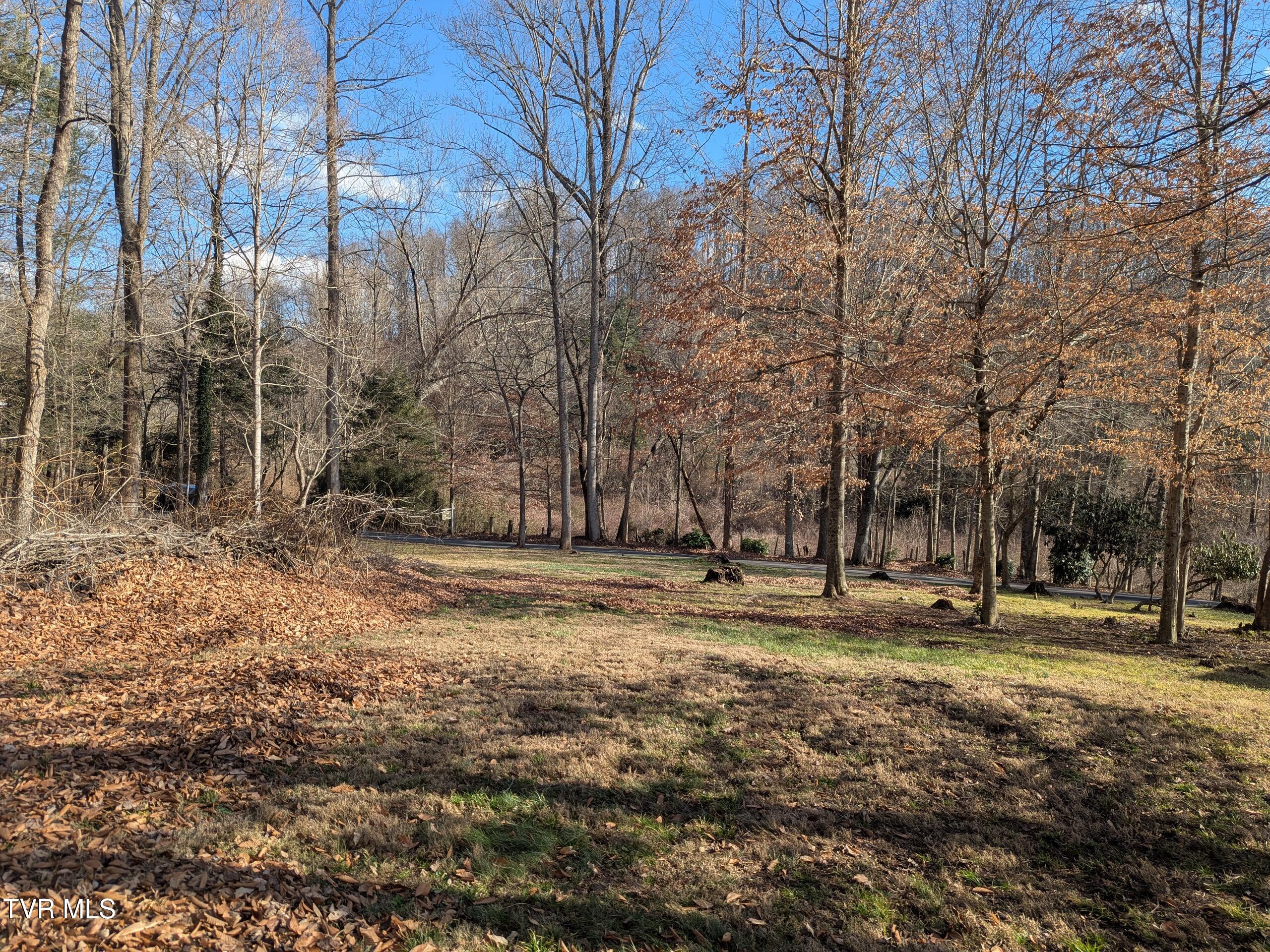 Tbd Beechwood Road, Unit 13 Bristol, TN 37620 - Photo 3 of 7 1000014486