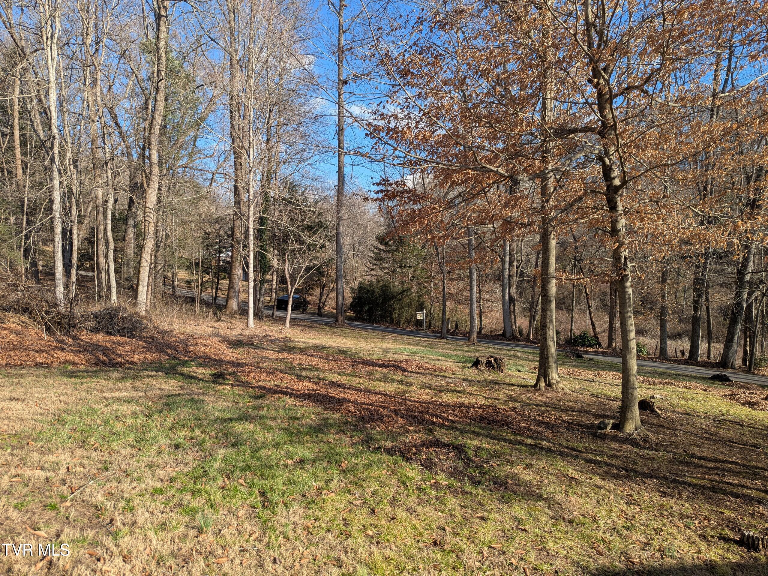 Tbd Beechwood Road, Unit 13 Bristol, TN 37620 - Photo 5 of 7 1000014485