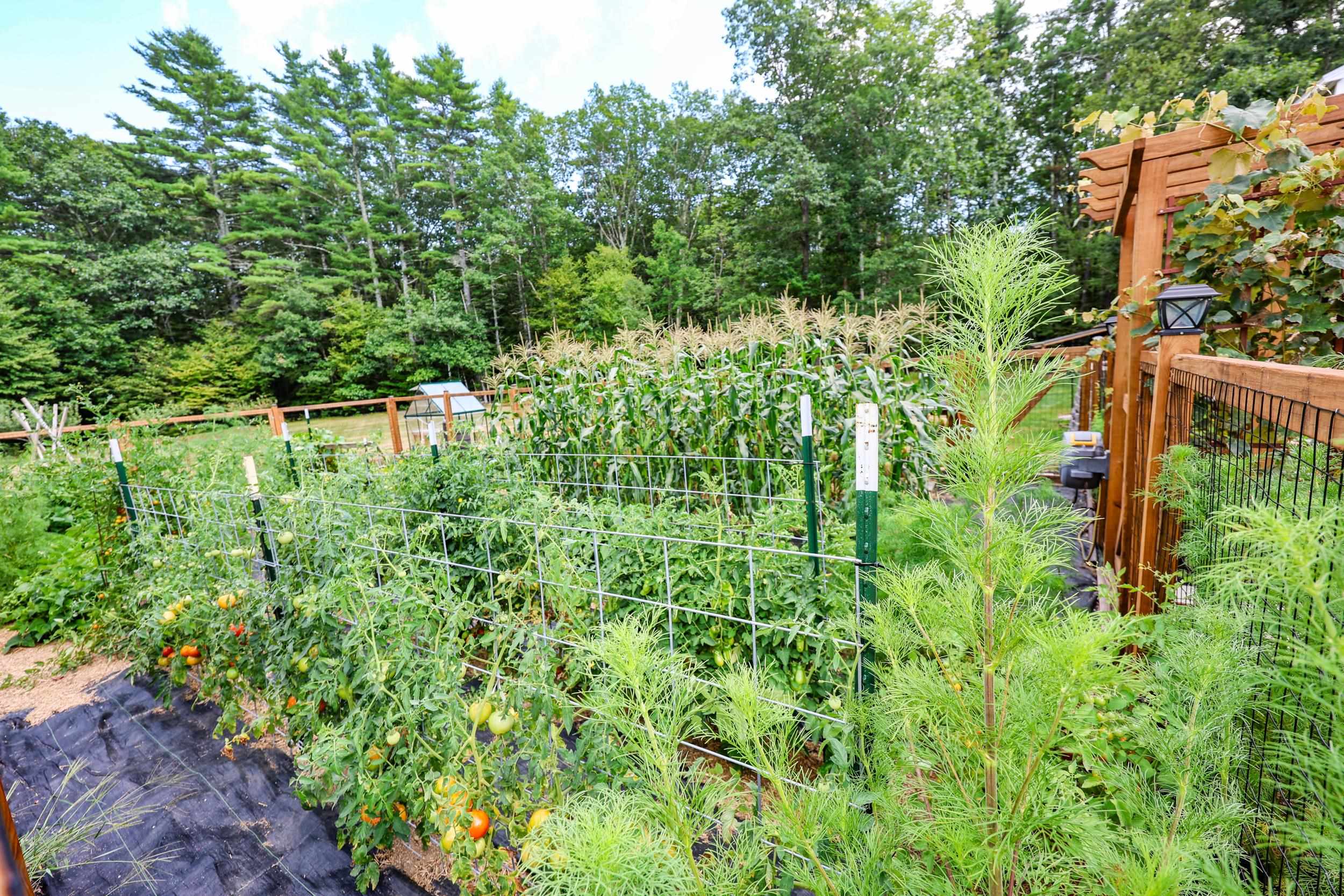 117 France Road Barrington, NH 03825 - Photo 14 of 59