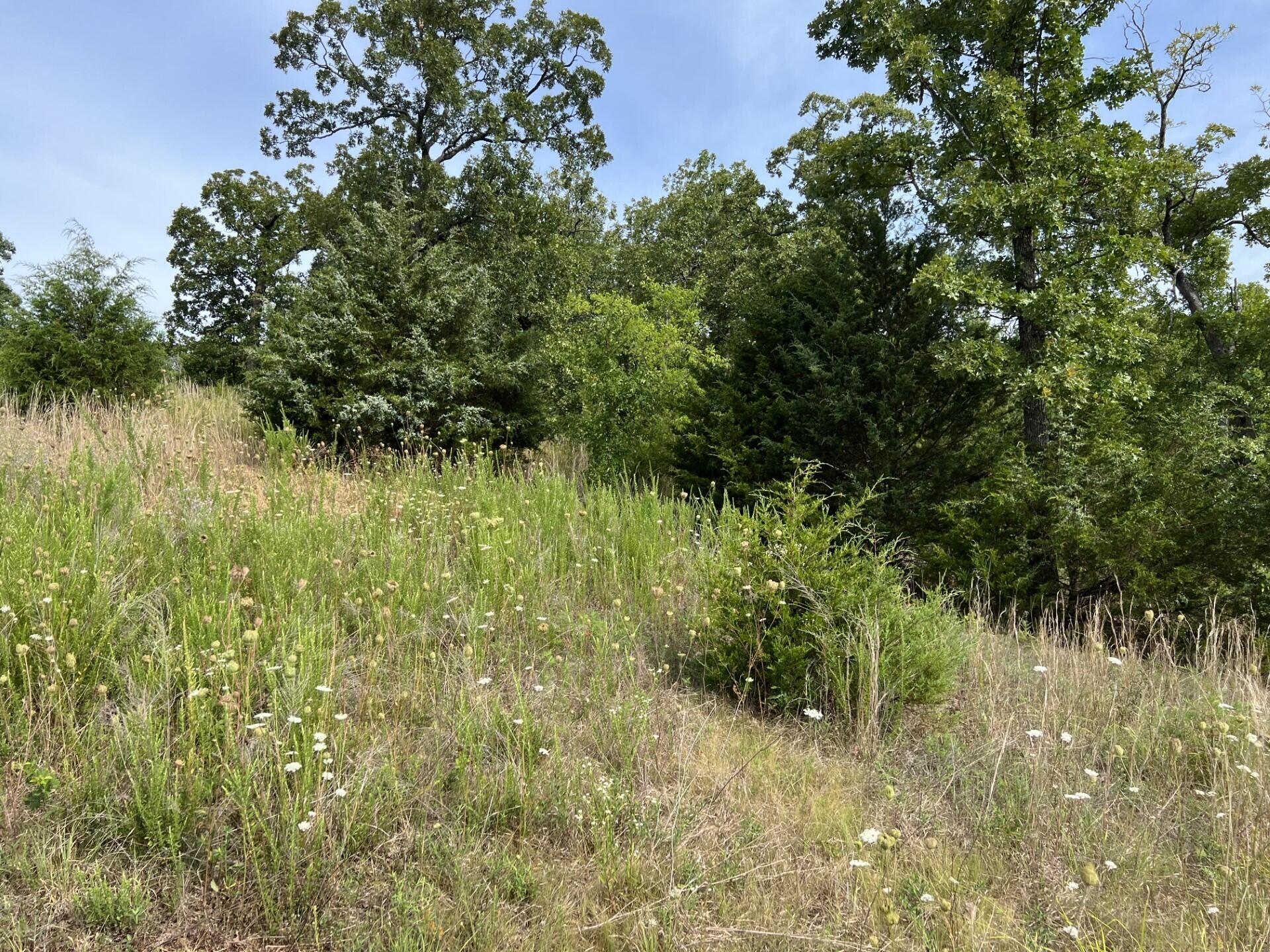 Lot 263 Weatherstone Dr Branson Drive Reeds Spring, MO 65737 - Photo 1 of 1 263 1