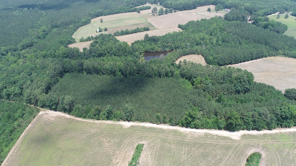 Reedy Branch Road Kenbridge, VA 23944 - Photo 19 of 19 Gallery Image 19