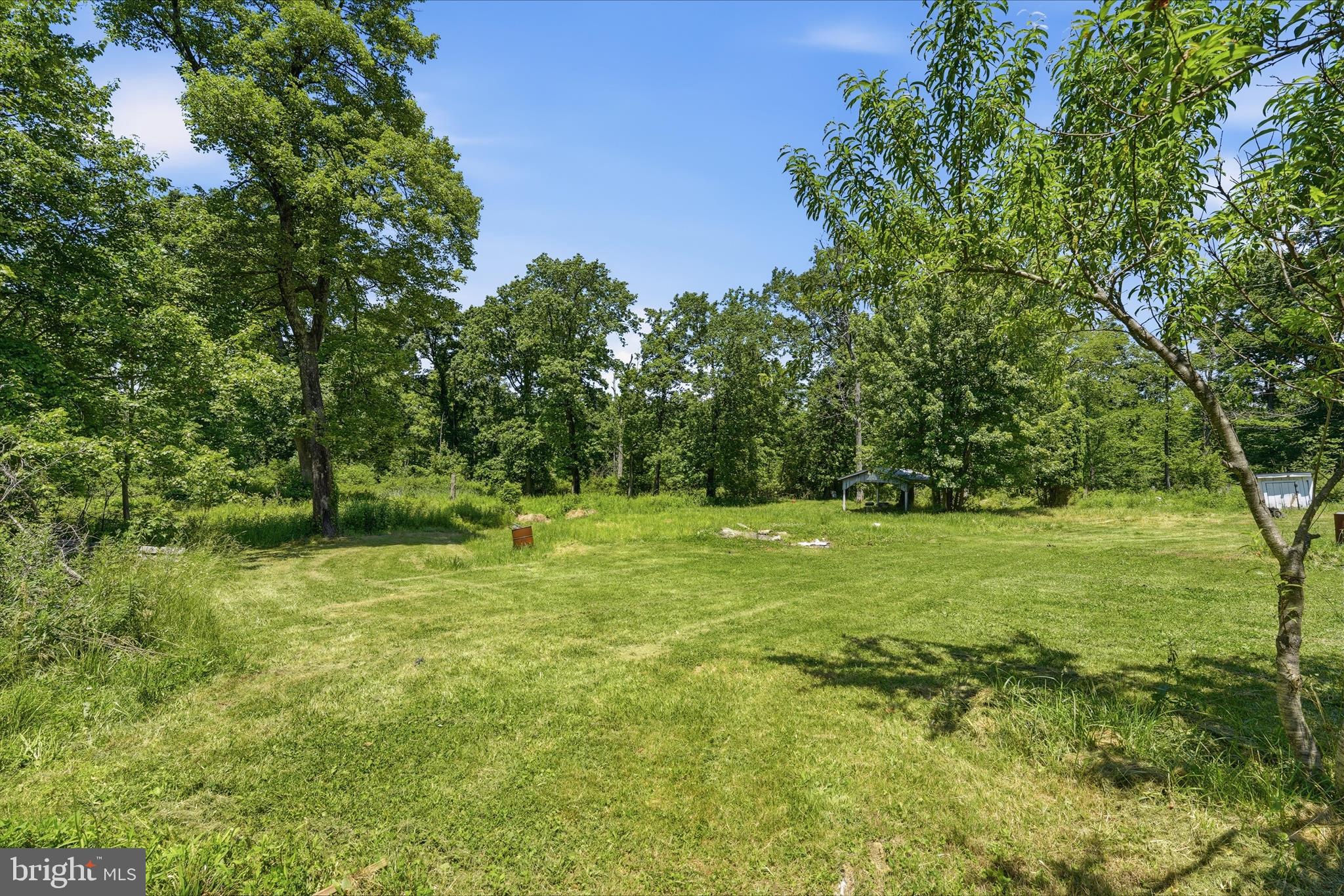 14316 Tower Road Smithsburg, MD 21783 - Photo 36 of 49 Backyard