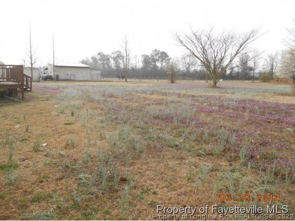 260 Vazquez Road Shannon, NC 28386 - Photo 15 of 15 Gallery Image 15