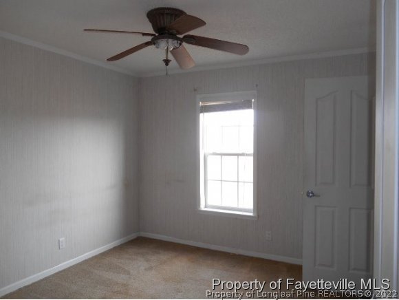 260 Vazquez Road Shannon, NC 28386 - Photo 3 of 15 Gallery Image 3