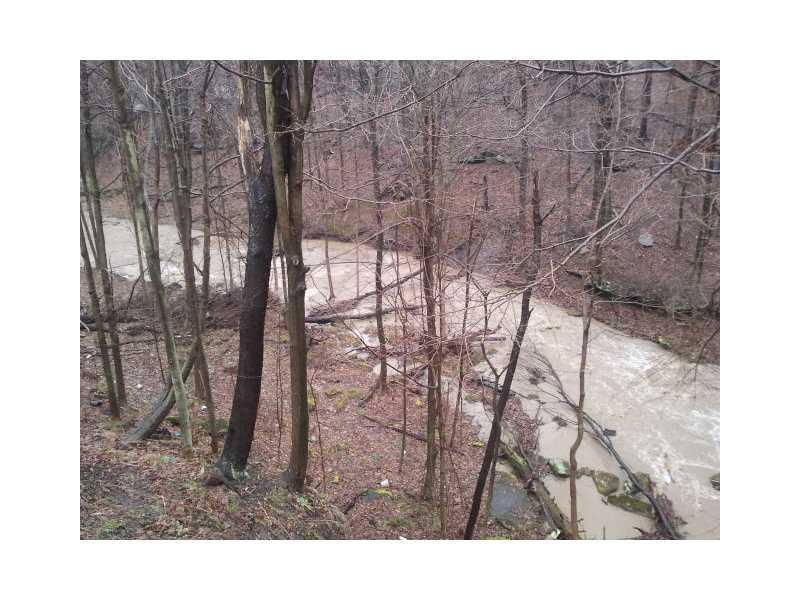 222 Little Blue Road Georgetown, PA 15043 - Photo 24 of 25 Land/Lot. Creek & woods rear property.