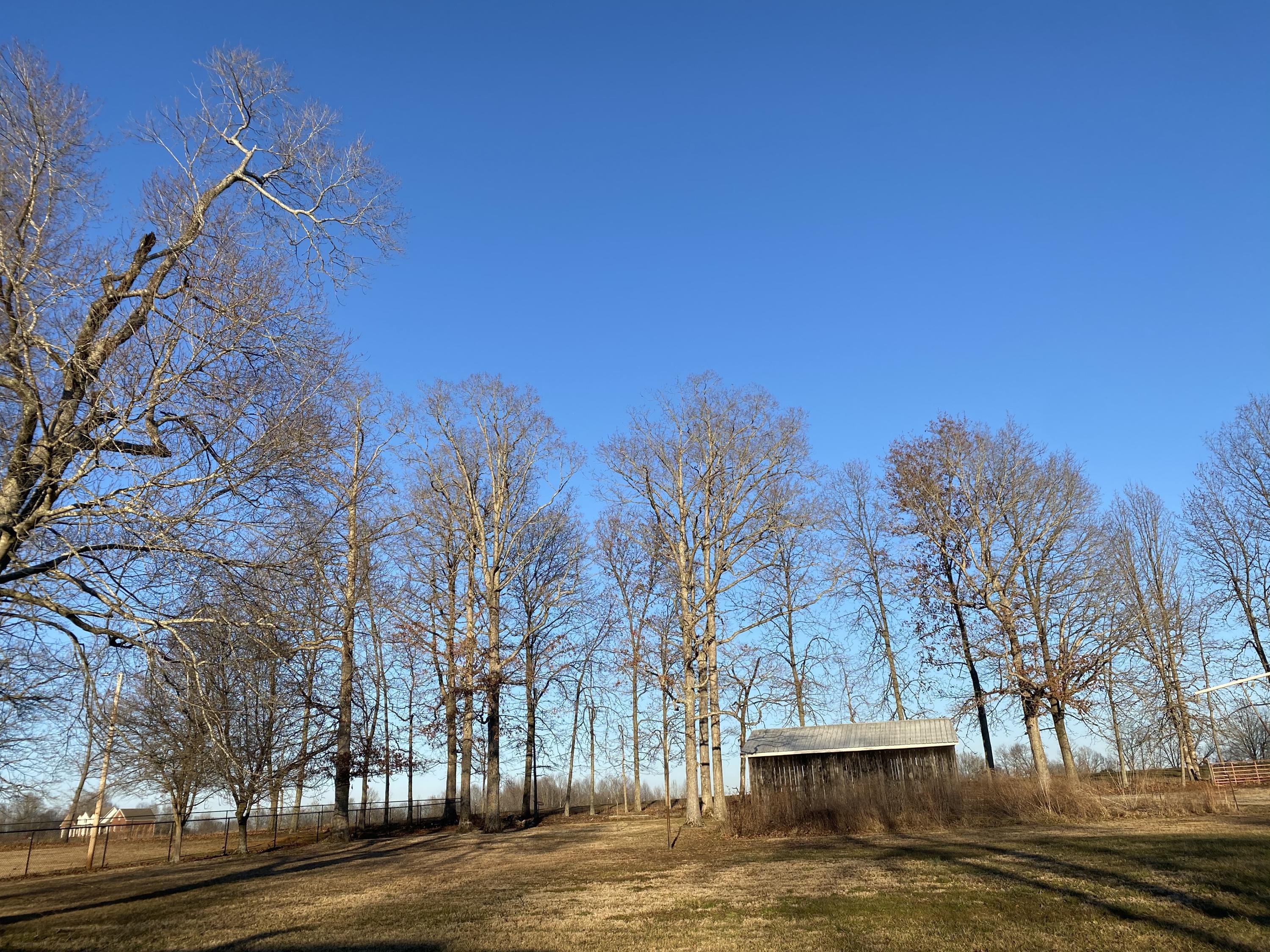 1510 Surber Road Science Hill, KY 42553 - Photo 16 of 18 773C7787-2F58-4740-B08A-18AD5AAFA872<|><