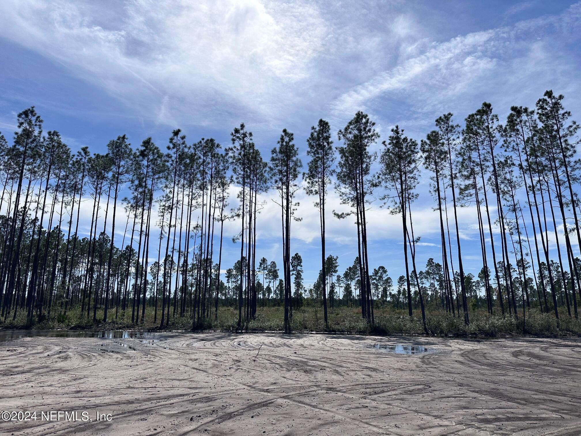 8682 Noah Davis Road Glen St. Mary, FL 32040 - Photo 19 of 19 a view of a park