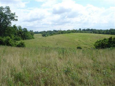 130 Parkway Road Winchester, KY 40391 - Photo 2 of 9 Listing Photo