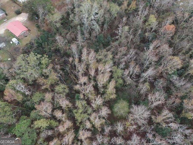 0 Washington Street Sardis, GA 30456 - Photo 3 of 7