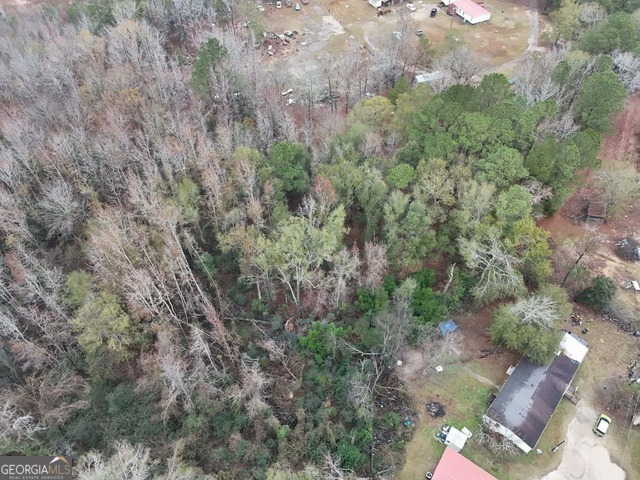 0 Washington Street Sardis, GA 30456 - Photo 5 of 7