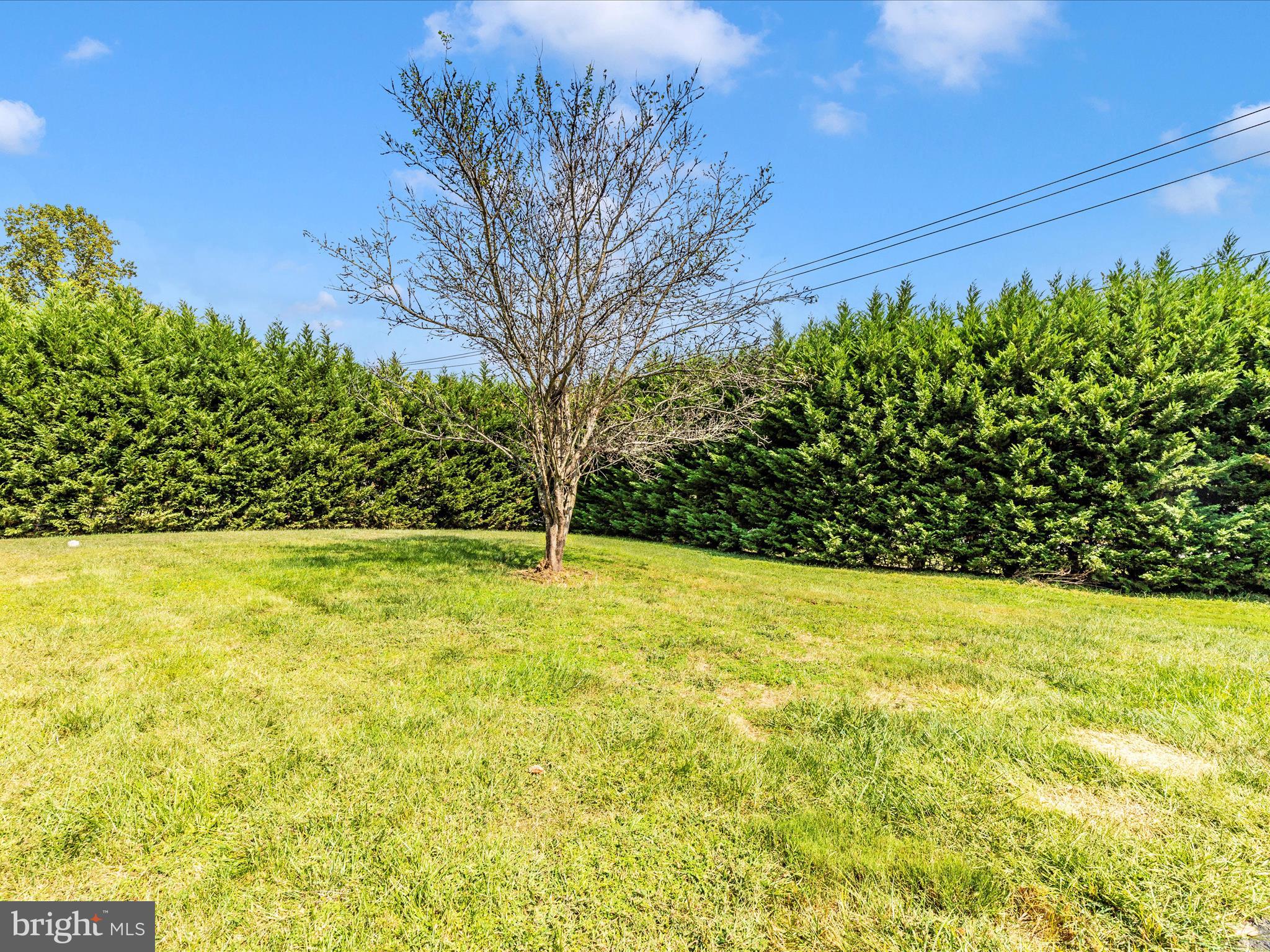 18004 Muncaster Road Rockville, MD 20855 - Photo 44 of 48 Exterior Front